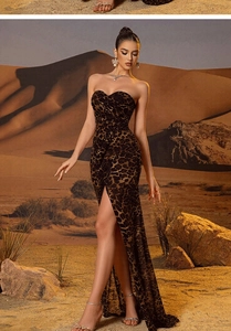 Macro shot of high slit leopard print tube maxi dress on desert landscape background