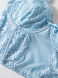 Detail of light blue floral lace and sheer mesh corset with silk ribbon bow decoration