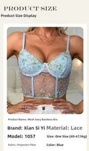 Detailed product sizing chart for blue floral embroidery lace mesh underwire corset bra