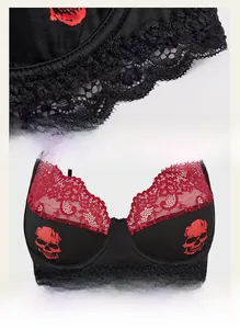 Detail of red lace trim and skull print on a black gothic style sheer mesh bra