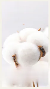 Dettaglio macro della consistenza morbida e traspirante del cotone naturale del tessuto intimo