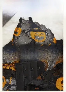 Détails du soutien-gorge en dentelle noire avec broderie citrouille et agrafes au dos