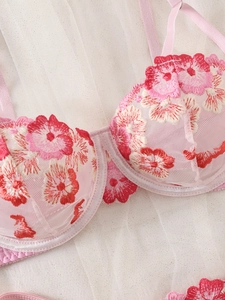 Detailed view of pink floral embroidery and sheer mesh lace on a soft wire bra cup