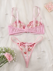 Detail shot of sheer pink mesh bra set with delicate floral embroidery and matching thong
