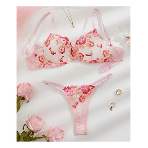 Pink mesh lingerie set with floral embroidery, matching bra and thong on white background