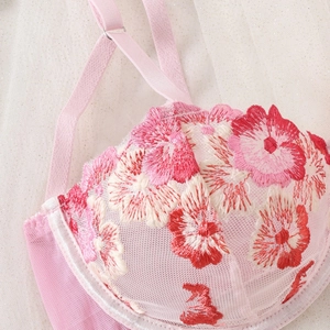 Pink sheer mesh bra set featuring luxury floral embroidery and adjustable straps