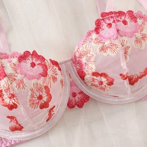 Sexy pink sheer mesh bra with intricate floral embroidery and romantic lace detailing