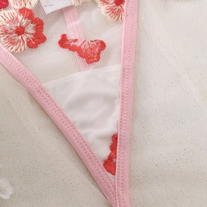 Sweet see-through mesh lingerie set with red floral embroidery and pink satin trim