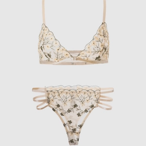 Women Floral Embroidery Mesh Bra And Panties French Style Transparent Intimate Underwear Apricot Lace Underwear