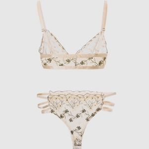 Lingerie set with floral embroidery on sheer beige mesh bra and hollow out thong