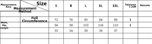 Detailed size chart for distressed denim shorts showing waist, hips, and length in CM