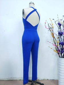 Detail showing the back of the royal blue jumpsuit with cross straps and invisible zipper