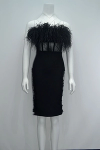 Detail view of black corset dress with ostrich feather trim and sheer mesh bodice