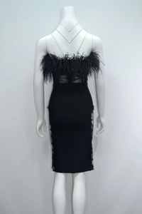 Detail of elegant black bandage dress with luxury feather trim and sheer lace side panels