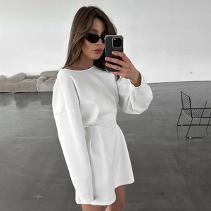 Minimalist white long sleeve crewneck mini dress with cinched waist for casual autumn style