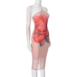 Dettaglio dell'abito halter in mesh rosa con stampa floreale di rose rosse grandi