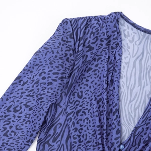Detail of blue-purple leopard print mesh dress with V-neckline and matching buttons