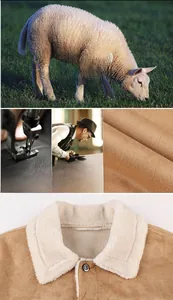 Detailed views of men's suede jacket with sheepskin collar and premium Australian fleece material