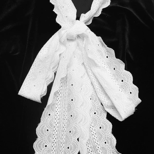 Close-up of intricate white lace collar with hollow embroidery on black velvet fabric