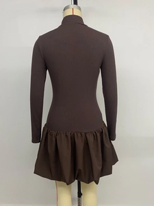 Back view of a long sleeve turtleneck dress featuring ribbed knit and pleated brown skirt