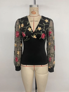 Detail of V-neck long sleeve top with colorful floral embroidery and sheer mesh sleeves