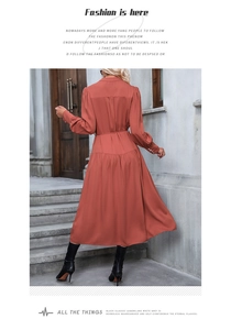 Detail of rust red long-sleeved midi dress with high waist and A-line silhouette back view