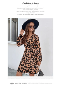 Detailed view of leopard print wrap dress with V-neckline and waist tie bow
