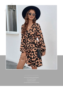 Detail shot of leopard print wrap dress showing V-neckline and waist tie detail