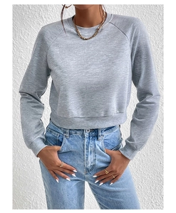 Detail of light gray crew neck sweatshirt with raglan sleeves and ribbed cuffs