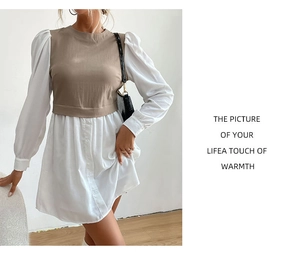Détail des manches bouffantes et des coutures contrastées sur une robe d'automne chic
