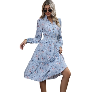 Light blue floral long sleeve dress with V-neck, elastic waist, and ruffled hemline