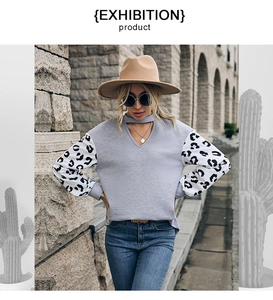 Detail of long sleeve knit top with leopard print patchwork sleeves and V-neck cutout