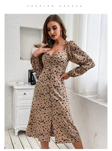 Close-up of leopard print dress featuring a V-neckline, front buttons, and knot detail