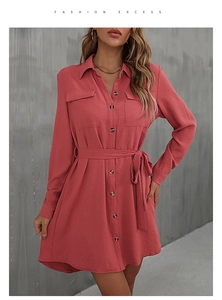 Detail of brick red shirt dress showing lapel collar, buttons, and matching waist belt
