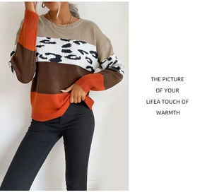 Detail of color-block knit sweater with leopard print sleeves and warm khaki tones