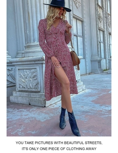 Detail of long sleeve leopard print dress with single-breasted buttons and v-neck line
