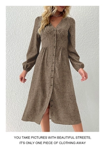 Detailed view of V-neck button-down leopard print midi dress with cinched waist