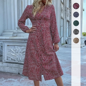 Elegant leopard print long sleeve midi dress with V-neck and button detailing