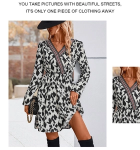 Detail of V-neckline with ethnic embroidery on black and white leopard print dress