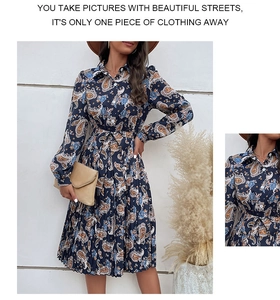 Detail view of the elegant blue paisley print dress with lapel collar and pleated skirt