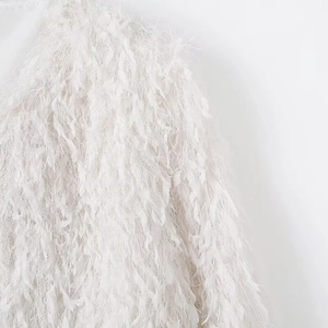 Detailed close-up showing soft white feather textures and delicate metallic fringe on coat