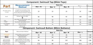 Detailed size chart for solid color push-up bikini set with precise measurements