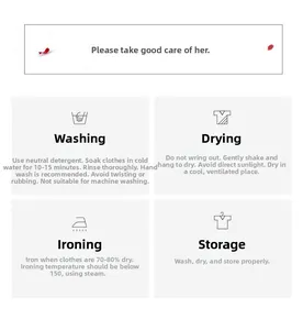 Care instructions for silk lingerie showing washing, drying, and ironing parameters