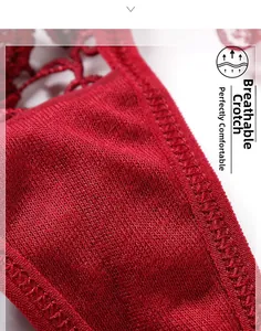 Détail de lingerie en dentelle rouge avec entrejambe en maille respirante et texture