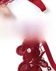 Détail de broderie florale en dentelle rouge et maille transparente sur string sexy