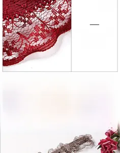 Détails de broderie en dentelle florale rouge et marron sur une culotte transparente