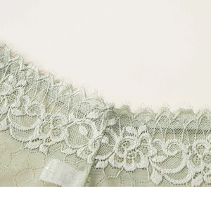 Macro de dentelle de cils vert clair avec des détails de broderie florale délicate