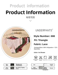 Tableau des tailles détaillé pour culottes en dentelle avec composition et couleurs