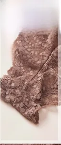 Détail de l'entrejambe en coton respirant sur culotte en dentelle rose transparente