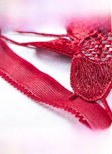 Close-up of red lace panty showing intricate floral embroidery and high-elasticity wavy edges